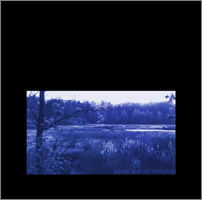 landscape architecture